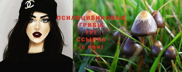стаф Горно-Алтайск