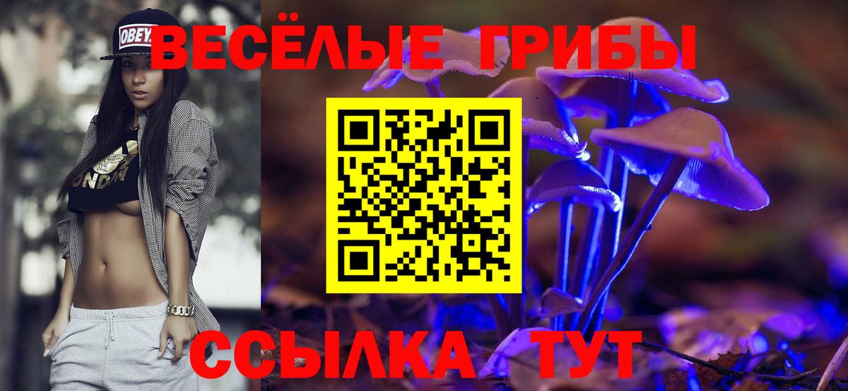 Псилоцибиновые грибы мухоморы Сальск